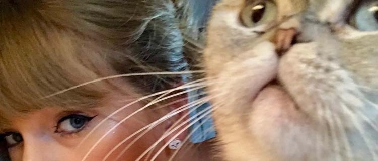Gata de Taylor Swift, Olivia Benson, é o terceiro animal mais rico do mundo!