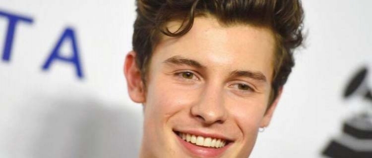 Veja todas as tatuagens do cantor Shawn Mendes!