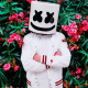 MARSHMELLO - Say Woah!  - 
